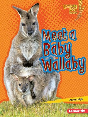 cover image of Meet a Baby Wallaby
